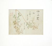 Ветви дерева Цветная гравюра (первая половина XIX века), Япония артикул 2068c.