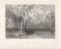 View From Genmary Lown Гравюра (первая половина XIX века), Англия артикул 2236c.